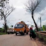 ตัดต้นไม้ใหญ่ยืนต้นตาย บริเวณถนนหัวสะพานคลองขาง