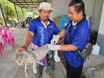 ฉีดวัคซีนป้องกันโรคพิษสุนัขบ้า ประจำปีงบประมาณ 2567